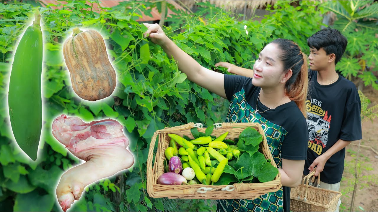 Pregnancy Mom Collect Nutritious Vegetable for healthy soup recipe / Roasted Rice Vegetable Soup Pregnancy Mom Collect Nutritious Vegetable for healthy soup recipe / Roasted Rice Vegetable Soup