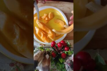 Muskmelon Shake Recipe|Smoothie Recipe|Healthy Drink| Weightloss Recipe | #shorts