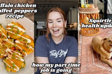 VLOG | work week in my life, Squirtle health update, buffalo chicken stuffed peppers recipe