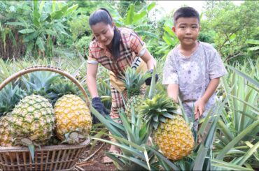 Seyhak and Mom harvest pineapple to make food for dinner - Family food cooking