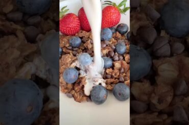 Healthy Oat Bites Recipe | Morning Breakfast @celebrityglamsecrets