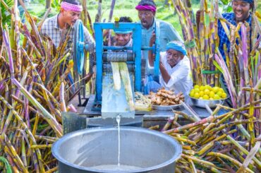 SUGARCANE JUICE | Making Farm Fresh Healthy Juice in Village | Natural Juice | Summer Health Drinks