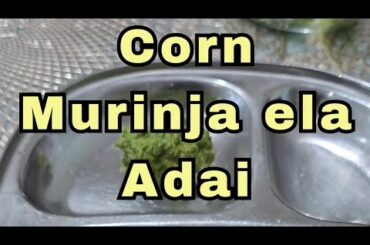 Corn Moringa Adai | Healthy weightloss recipe | Healthy breakfast recipe
