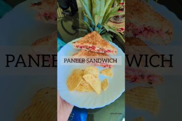 Very Yummy Protein Packed Sandwich | Tasty Paneer Sandwich| Healthy lunch recipe | Richa Kashyap