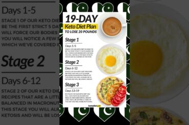 19 Day Keto Diet Meal Plan for Beginners Weight Loss
