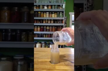 The First Food Your Baby Should Have