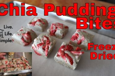 Freeze Dried Chia Pudding Bites -- Healthy Freeze Dried Snacks & Desserts