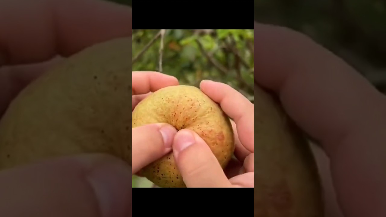 fruit cutting|#shorts fruit cutting|#shorts