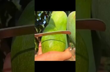 fruit cutting|#shorts