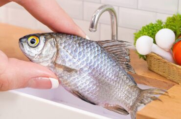 Best of Miniature Cooking | 2000+ DIY Miniature Food Recipe Compilation | Tiny Food Ideas ASMR