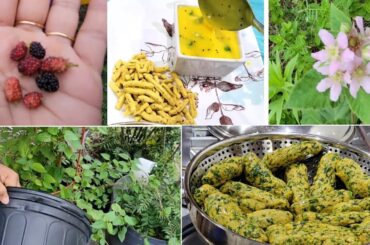 Evening routine vlog| Healthy Methi Muthiya recipe| Besan chutney| fruits plants care #dailyvlog