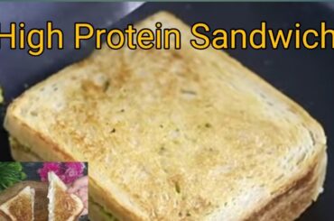 High Protein Sandwich For Weight Loss Healthy Vegetarian Sandwich Recipe | Skinny Recipes