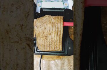 Easy & Simple healthy breakfast recipe with Sandwich Maker| Quick & very healthy#shorts #breakfast