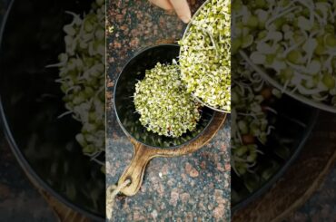 Sprouts Salad Recipe | Moong Sprouts Salad | Salad Recipe #shorts