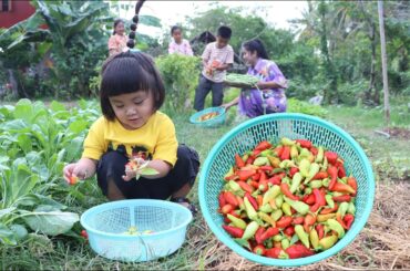Cute girl Siv chhee, she can help us to collect vegetable for cooking - Family food cooking
