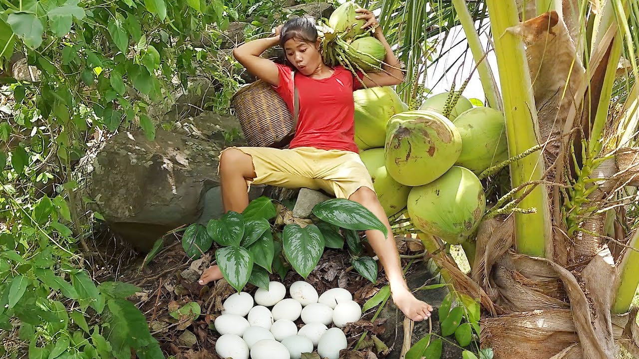 Found Natural coconut with Baby egg for food – Egg cooking with Coconut water so delicious food Found Natural coconut with Baby egg for food - Egg cooking with Coconut water so delicious food