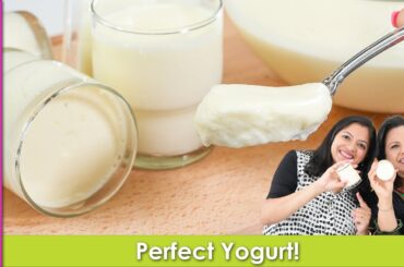 Dahi Jamane Ki Solid No Stress Easy and Impressive Technique Recipe in Urdu Hindi - RKK