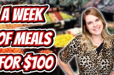 Spending $100 A Week | Week  2 Part 2  | A Week of meals for $100 | Extreme Grocery Budget Challenge