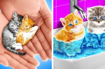 SAVE THESE TINY KITTENS || Useful DIY Ideas and Hacks for Smart Pet Owners! Gadgets by 123 GO!