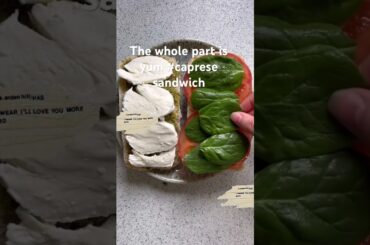 Healthy bite #capresesandwich #eating  #recipe  #food  #yummyrecipe