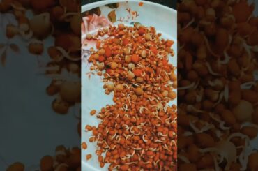 Healthy &Protien Breakfast#shorts #chilla #shortsfeed #food #recipe #youtubeshorts #shortvideo