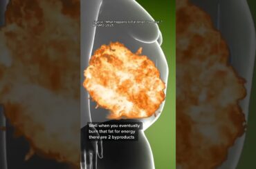 What happens to fat when you lose weight is pretty wild