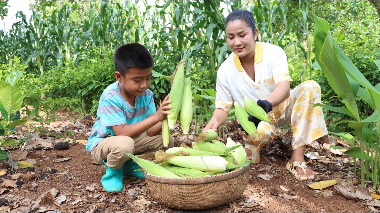 Peaceful country life live with happiness – Family food cooking – Sreypov life show Peaceful country life live with happiness - Family food cooking - Sreypov life show