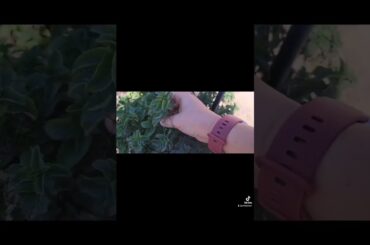 The only Greek salad recipe you need. #fresh #greeksalad #healthy #food #recommended #recipes #yummy