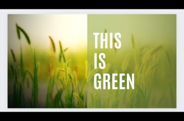 LOW CALORIE SALAD RECIPE