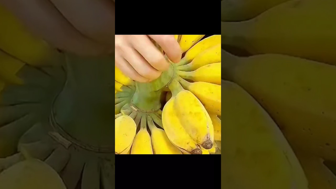 fruit cutting|#shorts fruit cutting|#shorts