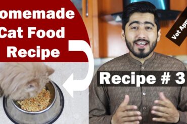 Best Homemade Cat Food Recipe | Healthy & Balanced Food | Persian recipe | Vet Furqan Younas