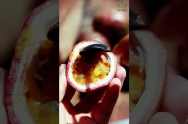 Lose Weight Effortlessly with This Surprising Kitchen Ingredient!