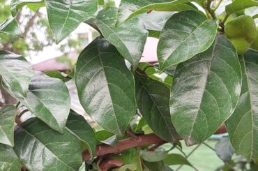 Healthy Recipes for a Fresh Start: Nourishing Your Body in the Warmer Months