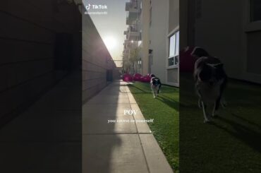 Weight loss Transformation |Health & Fitness Journey |Weight Loss Tips |Natural Weight Loss #shorts