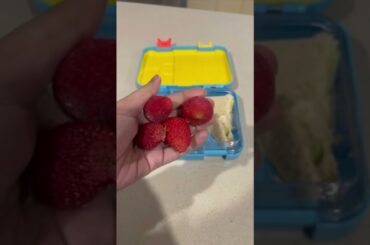 Indian Mom in Australia - Quick Healthy Kids Lunch Box Tips with a Twist