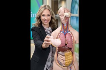 Gut Health, Gastritis, Leptin, Matcha Latte Recipe