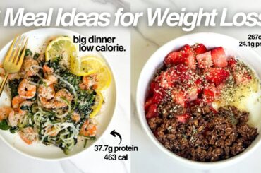 6 High Protein Low-Calorie Meal Ideas For Weight Loss | *EASY and Single-Sized Servings*