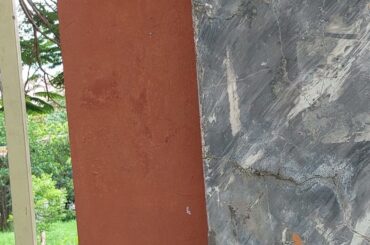 Green Cuisine Delights: Healthy and Delicious Plant-Based Recipes