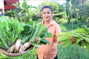 Pregnant mum collect fresh vegetable to make healthy soup - Cooking with Sreypov