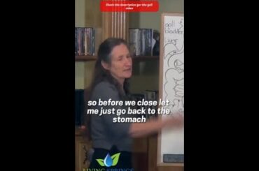 Caring For The Gut. Part 20 of 20. #shorts