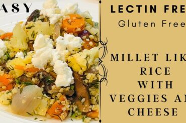 Lectin Free Dinner Recipe | Millet Like Rice With Cheese | How to cook millet best way | Gluten Free
