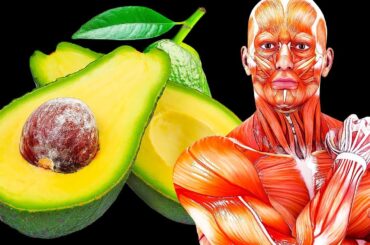 If You Eat an Avocado a Day For a Month, Here's What Will Happen to You