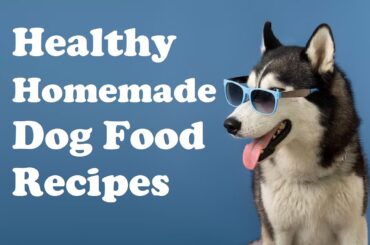 Healthy Homemade Dog Food Recipes: Easy and Nutritious Meals for Your Furry Friend #HomemadeDogFood