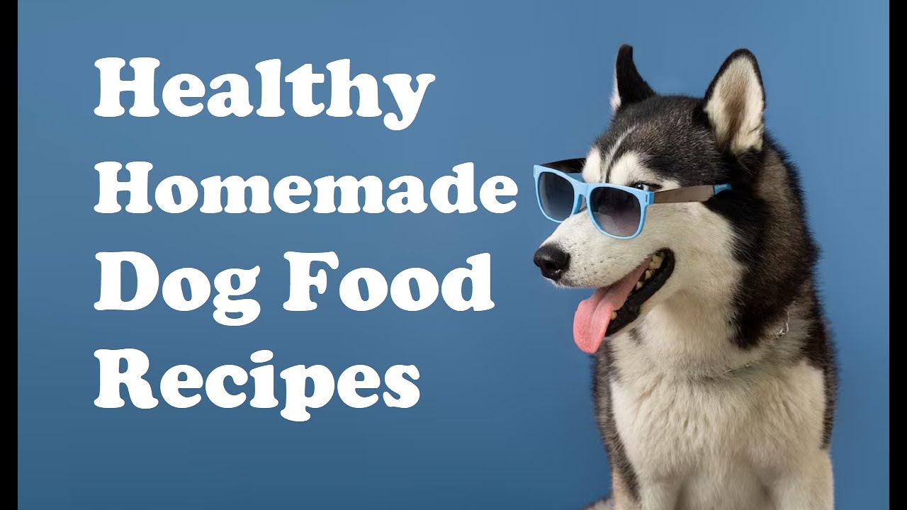Healthy Homemade Dog Food Recipes: Easy and Nutritious Meals for Your Furry Friend #HomemadeDogFood Healthy Homemade Dog Food Recipes: Easy and Nutritious Meals for Your Furry Friend #HomemadeDogFood