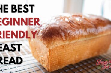 How to make a loaf of bread from scratch (Beginner friendly!)