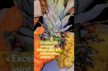 Pineapple Enzyme Melts Belly FAT Naturally  #bromelain #lipolytic