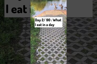 #whatieat #whatieatinaday #weightlossdiet #vegetarian #mealplan #weightlossrecipes #shorts #food