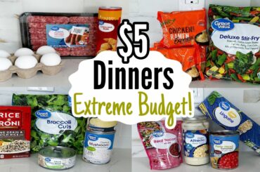 $5 DINNERS | FIVE Quick & Easy Cheap Dinner Recipes Made EASY! | Walmart Cheap Meals | Julia Pacheco