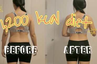 I tried the 1200 kcal diet for a week