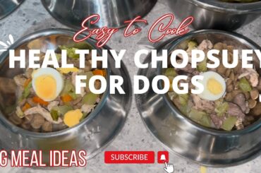 EASY TO COOK HEALTHY CHOPSUEY FOR DOGS | DOG MEAL IDEAS